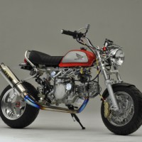 GC-113 10インチカスタム車輌