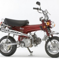 ダックス ワイドホイール