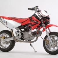 12インチモタードスタイルモンキー